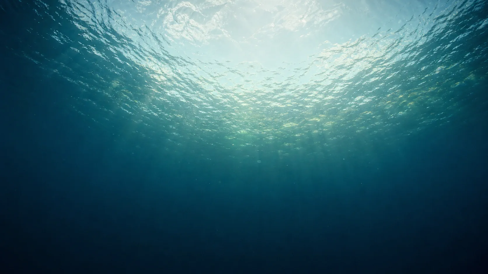 La superficie del mare vista dal basso, con la luce che filtra